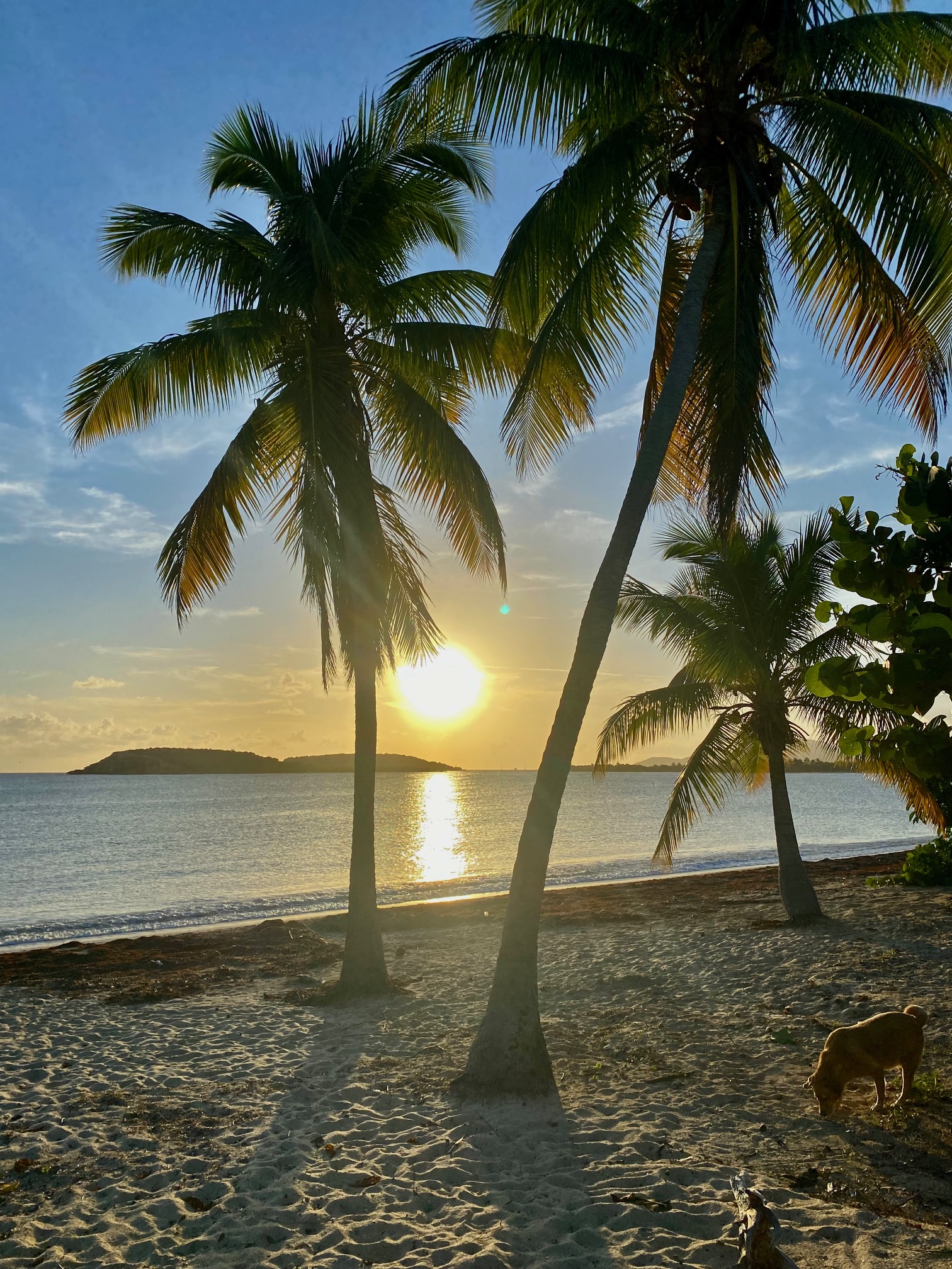 photo of sun bay beach at sunset
