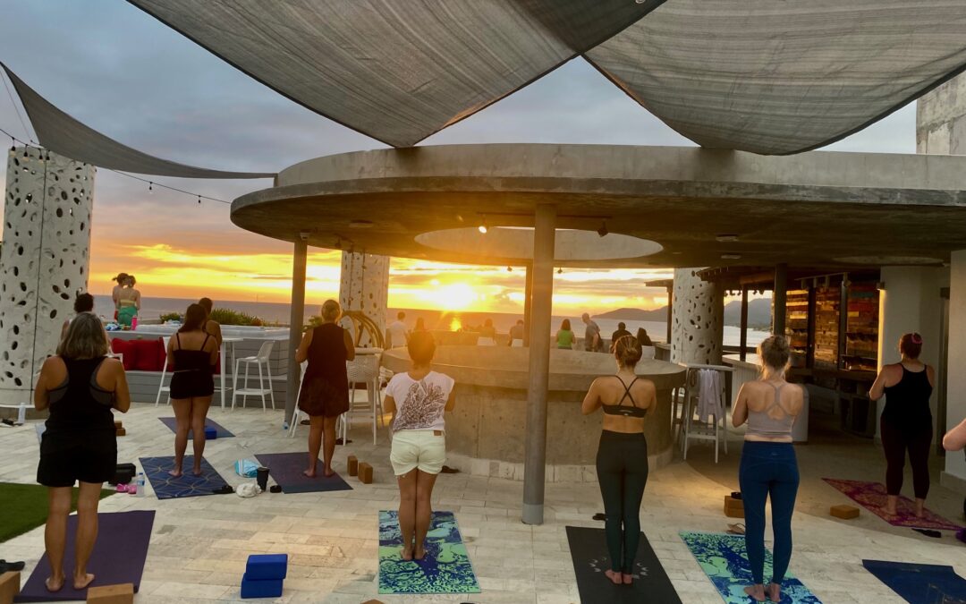 How to reserve your class at Vieques Wellness and Yoga