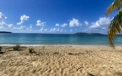 Travel to Vieques Guide
