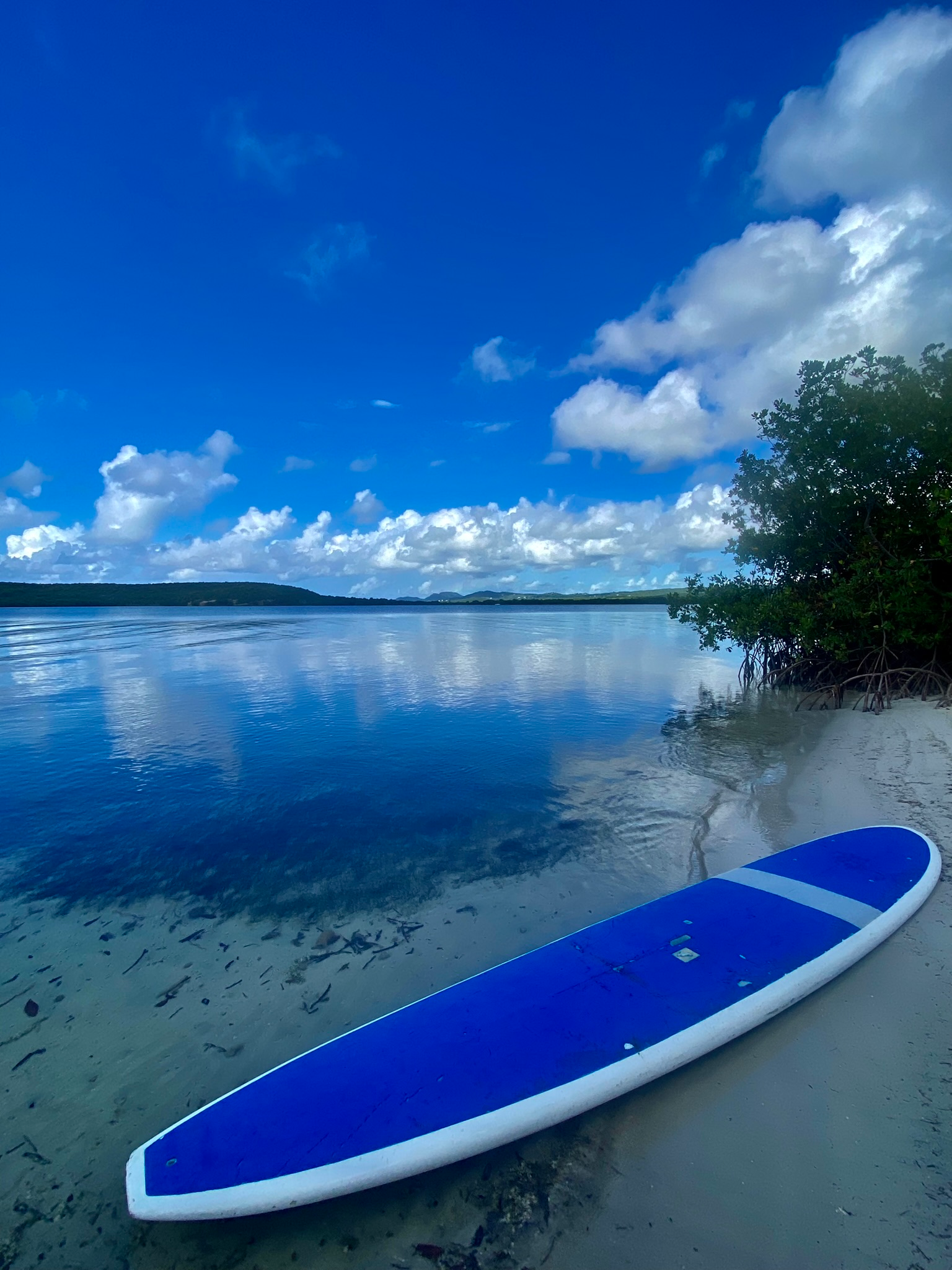 paddle board in vieques