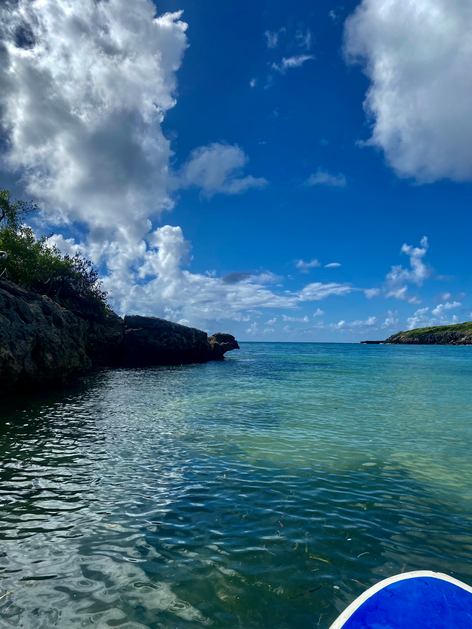 paddle board in calm water
